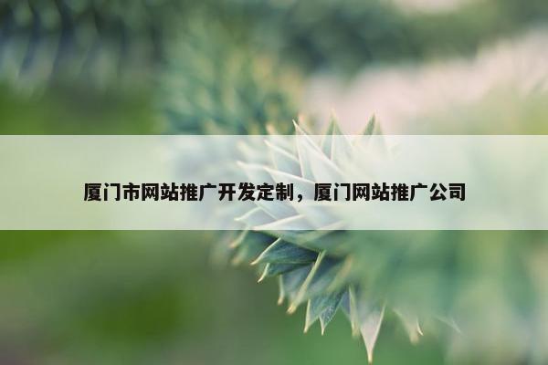 厦门市网站推广开发定制，厦门网站推广公司