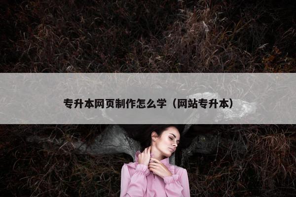 专升本网页制作怎么学（网站专升本）