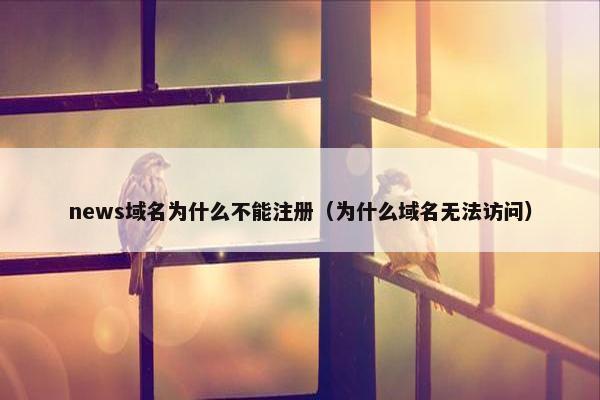 news域名为什么不能注册（为什么域名无法访问）