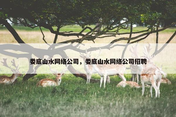 娄底山水网络公司，娄底山水网络公司招聘