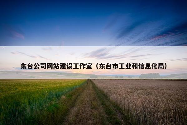 东台公司网站建设工作室（东台市工业和信息化局）
