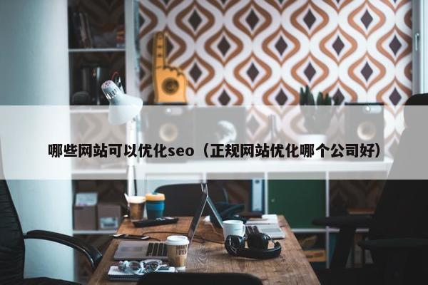哪些网站可以优化seo（正规网站优化哪个公司好）