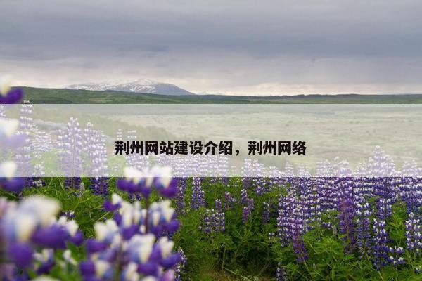 荆州网站建设介绍，荆州网络