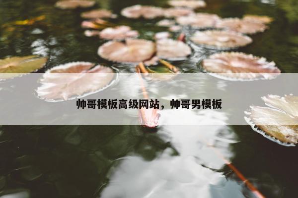 帅哥模板高级网站，帅哥男模板