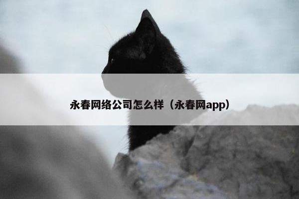 永春网络公司怎么样（永春网app）