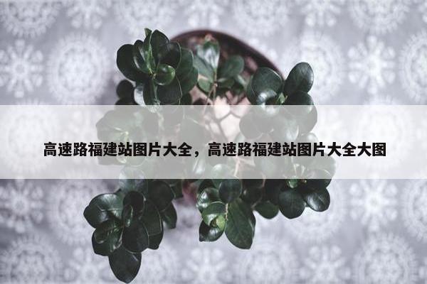 高速路福建站图片大全，高速路福建站图片大全大图