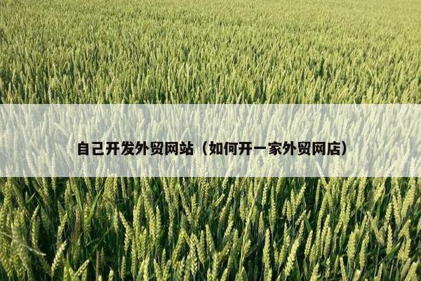 自己开发外贸网站（如何开一家外贸网店）