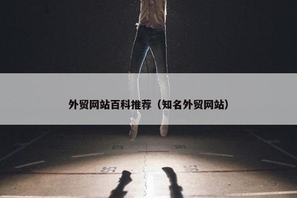 外贸网站百科推荐（知名外贸网站）