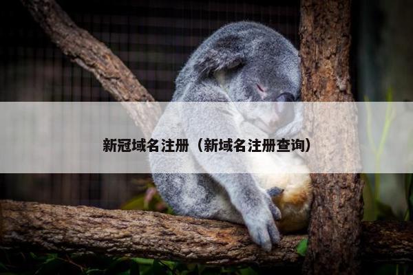 新冠域名注册（新域名注册查询）