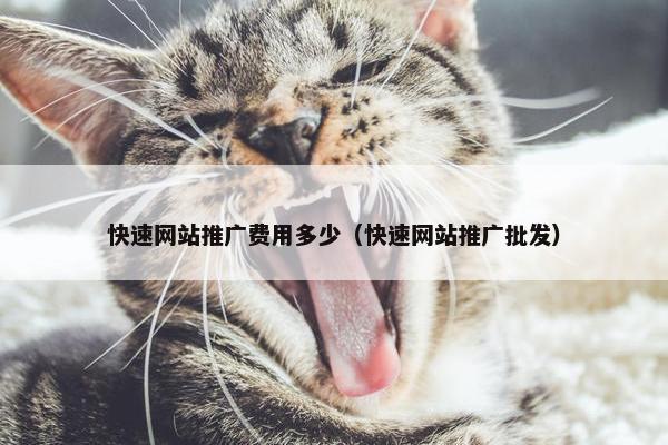 快速网站推广费用多少（快速网站推广批发）