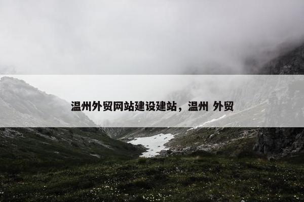 温州外贸网站建设建站，温州 外贸