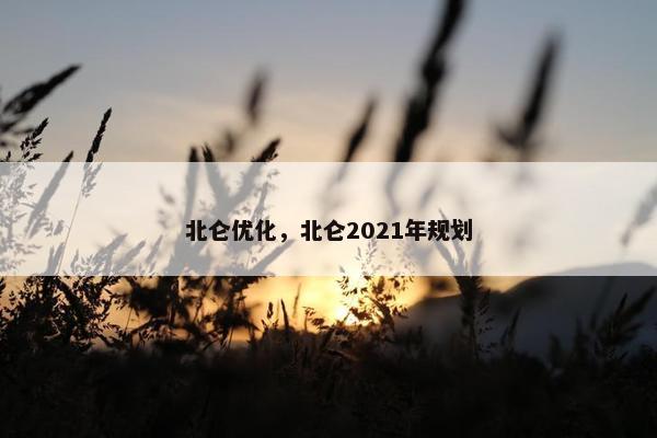 北仑优化，北仑2021年规划