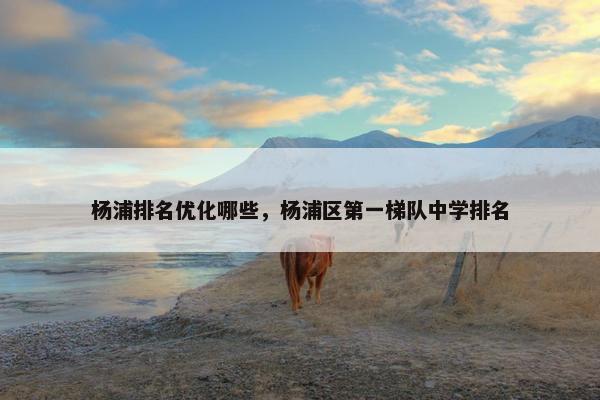 杨浦排名优化哪些，杨浦区第一梯队中学排名