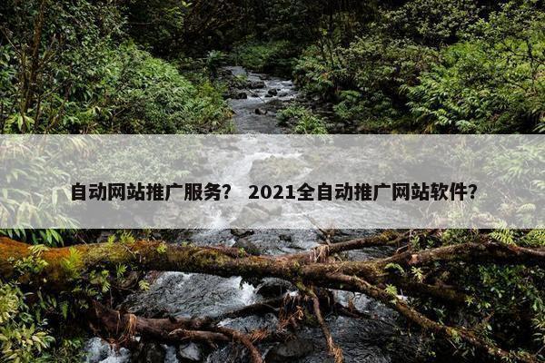 自动网站推广服务？ 2021全自动推广网站软件？