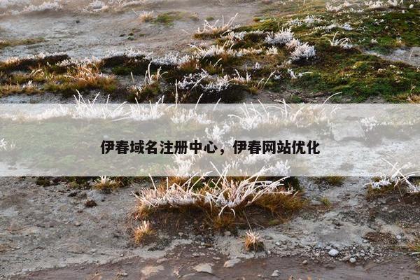 伊春域名注册中心，伊春网站优化