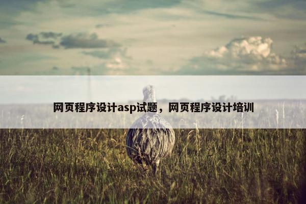 网页程序设计asp试题，网页程序设计培训