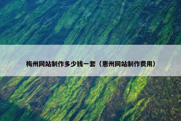 梅州网站制作多少钱一套（惠州网站制作费用）