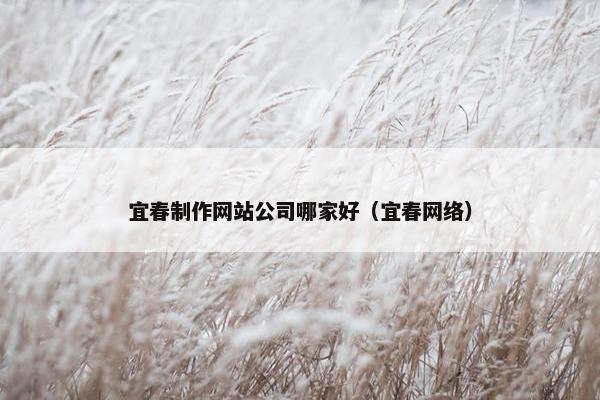 宜春制作网站公司哪家好（宜春网络）