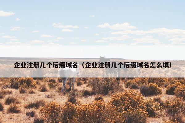 企业注册几个后缀域名（企业注册几个后缀域名怎么填）