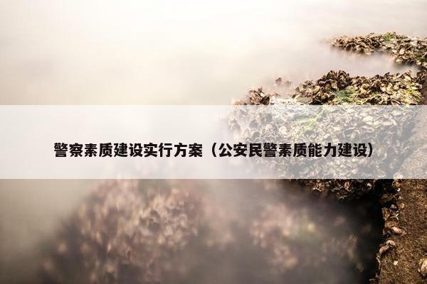 警察素质建设实行方案（公安民警素质能力建设）