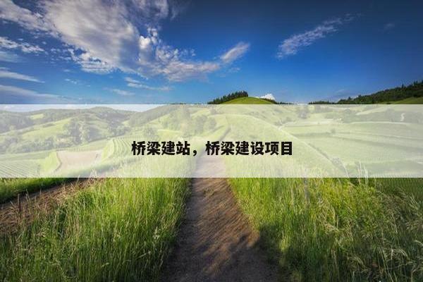 桥梁建站，桥梁建设项目