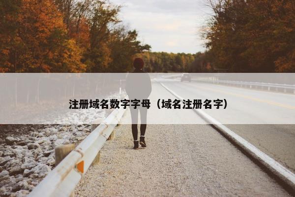 注册域名数字字母（域名注册名字）