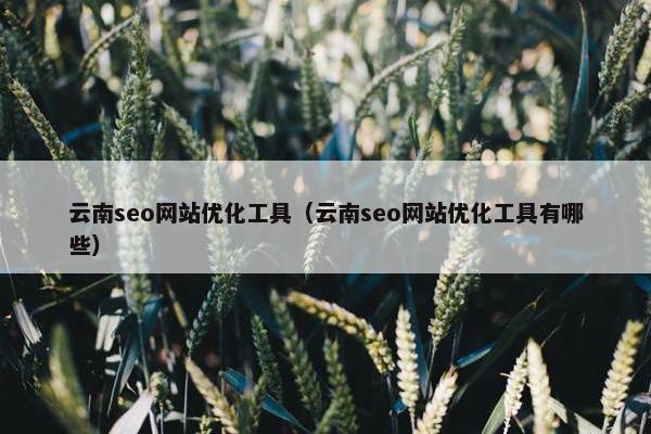 云南seo网站优化工具（云南seo网站优化工具有哪些）