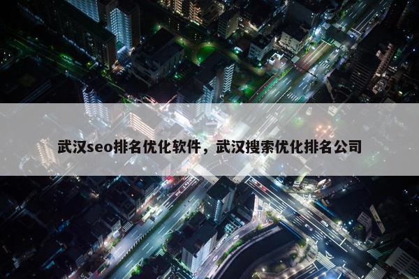 武汉seo排名优化软件，武汉搜索优化排名公司