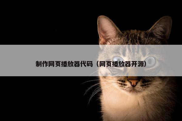 制作网页播放器代码（网页播放器开源）