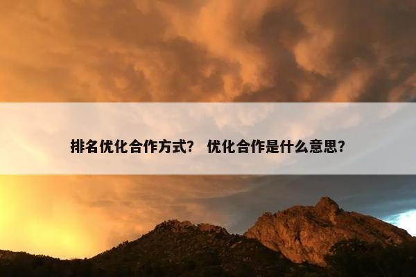 排名优化合作方式？ 优化合作是什么意思？