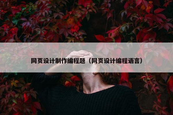 网页设计制作编程题（网页设计编程语言）
