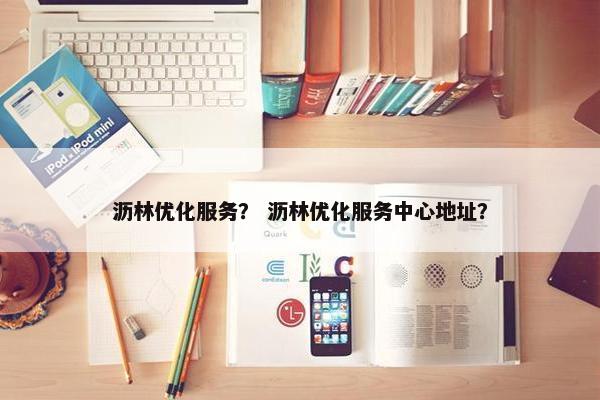 沥林优化服务？ 沥林优化服务中心地址？