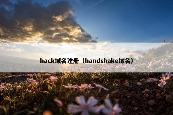 hack域名注册（handshake域名）