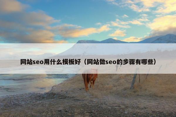 网站seo用什么模板好（网站做seo的步骤有哪些）
