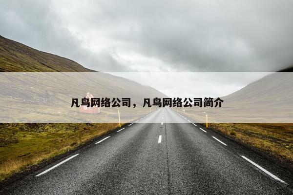 凡鸟网络公司，凡鸟网络公司简介