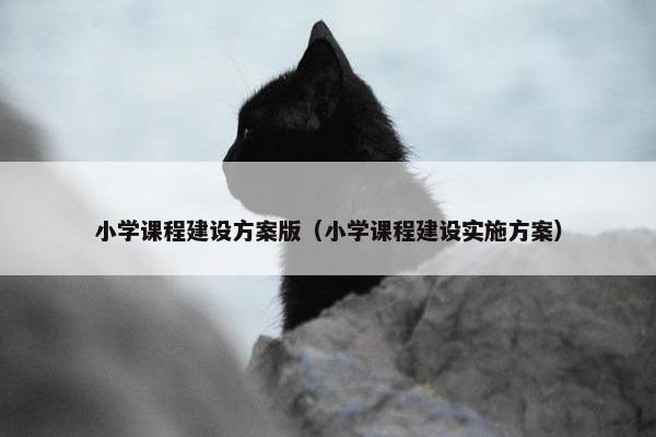 小学课程建设方案版（小学课程建设实施方案）