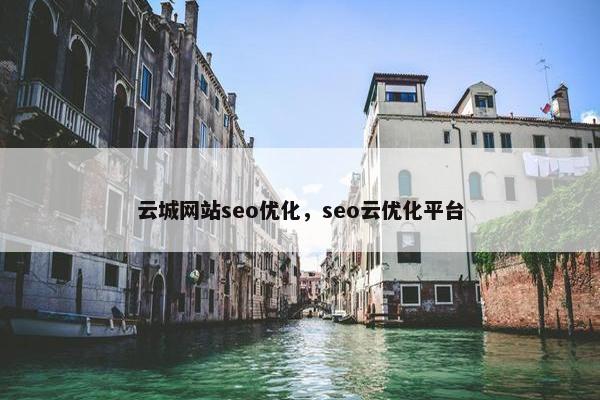 云城网站seo优化，seo云优化平台