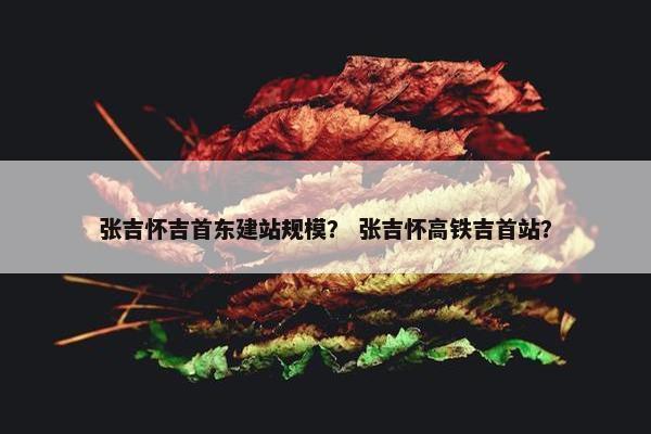 张吉怀吉首东建站规模？ 张吉怀高铁吉首站？
