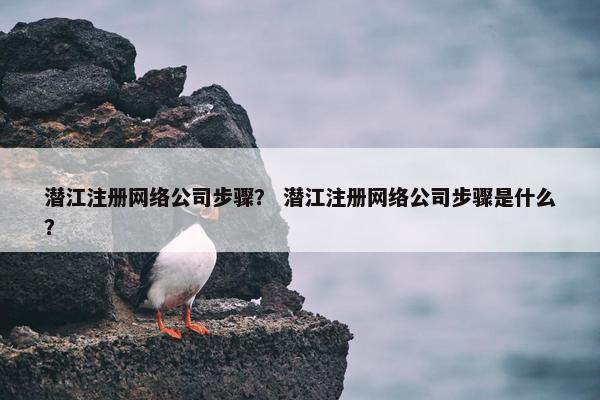 潜江注册网络公司步骤？ 潜江注册网络公司步骤是什么？