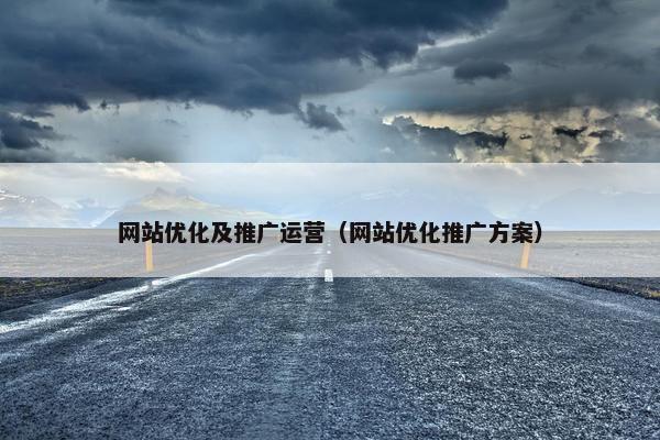 网站优化及推广运营（网站优化推广方案）