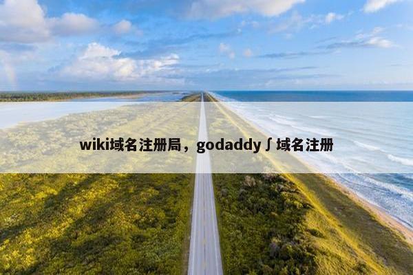 wiki域名注册局，godaddy∫域名注册