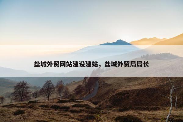 盐城外贸网站建设建站，盐城外贸局局长