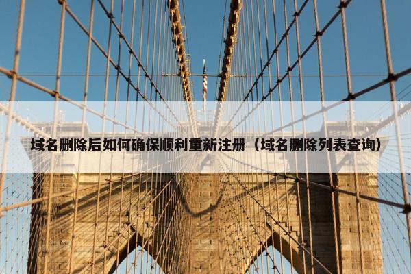 域名删除后如何确保顺利重新注册（域名删除列表查询）