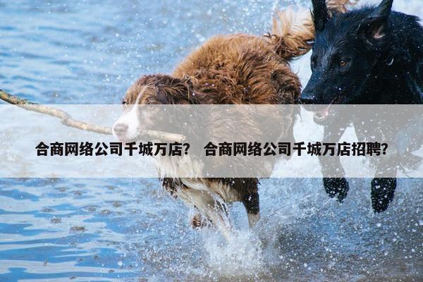 合商网络公司千城万店？ 合商网络公司千城万店招聘？
