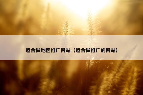 适合做地区推广网站（适合做推广的网站）