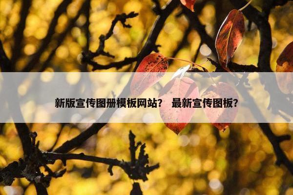 新版宣传图册模板网站？ 最新宣传图板？