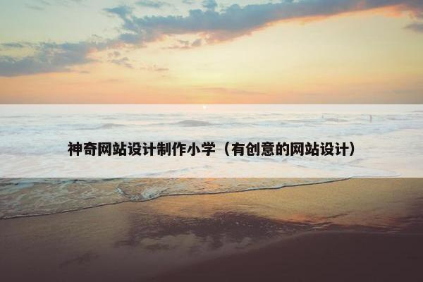 神奇网站设计制作小学（有创意的网站设计）
