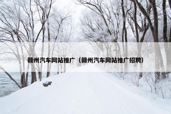 赣州汽车网站推广（赣州汽车网站推广招聘）