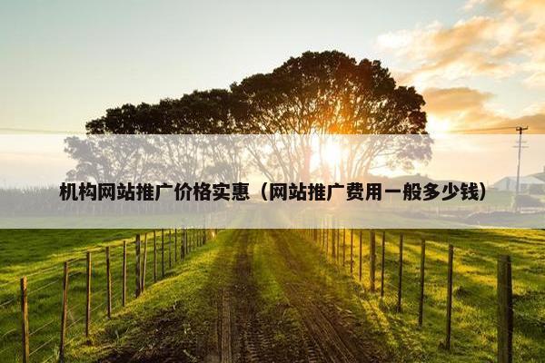 机构网站推广价格实惠（网站推广费用一般多少钱）