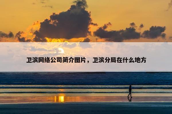 卫滨网络公司简介图片，卫滨分局在什么地方